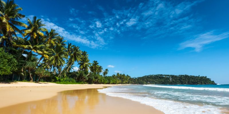 Srii Lanka Reizen in de beste reisperiode