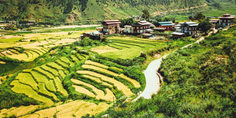 De groene Vallei van Punakha in Bhutan