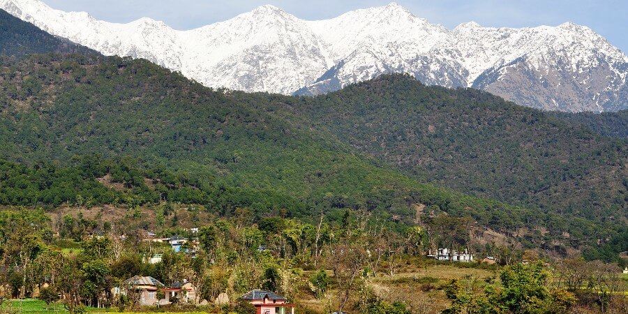 Kangra Vallei: de foothills van de Himalaya